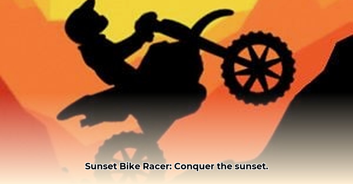 sunset-bike-racer